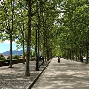 Meet your Posher, Raquel